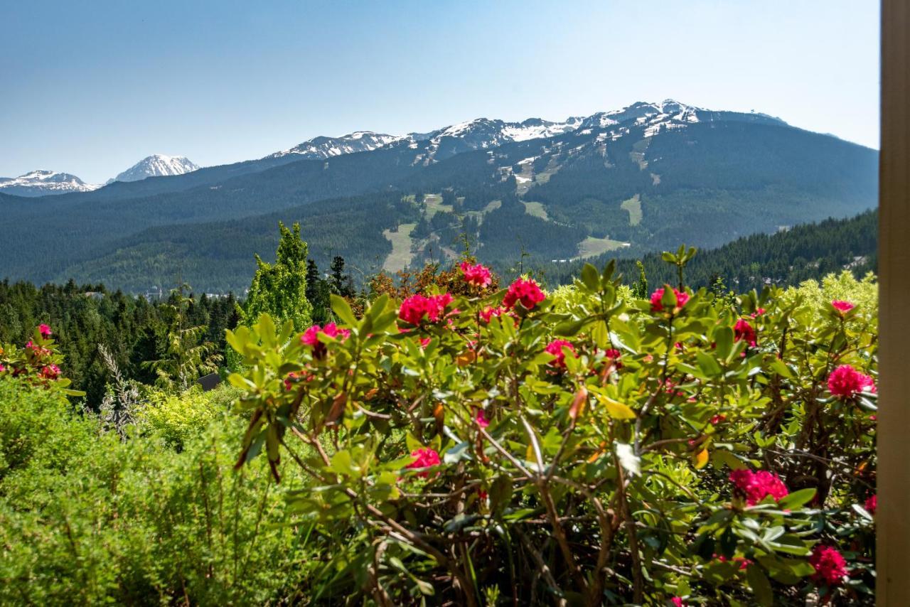 The Ironwood On Blueberry Hill Leilighet Whistler Eksteriør bilde